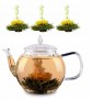 Czajnik Szklany Blooming Tea_2